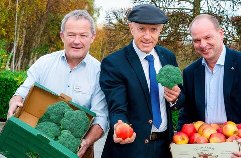 Department of Agriculture, Food and the Marine's 2025 horticulture census