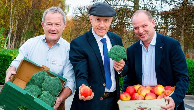 Department of Agriculture, Food and the Marine's 2025 horticulture census