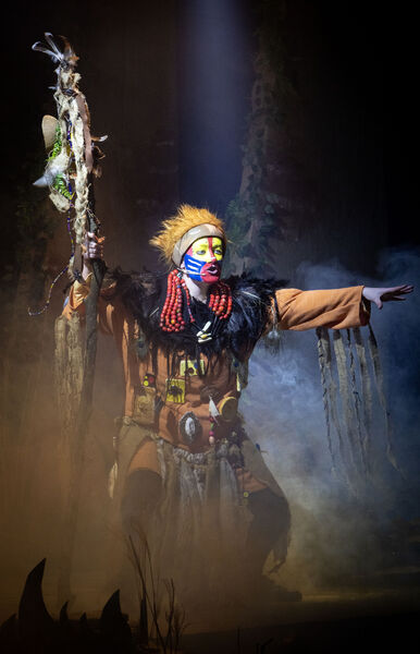  Presentatiob Secondary TY students production of the Lion King JR.