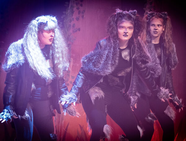  Presentation Secondary TY students production of the Lion King JR.