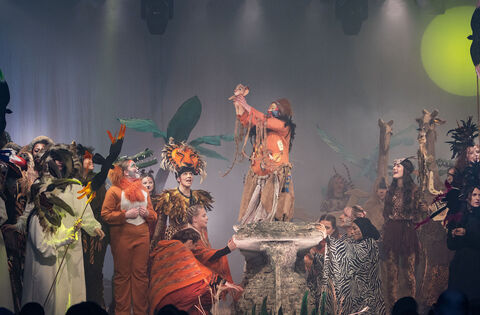 In Photos: Waterford's Presentation Secondary TY students present spectacular Lion King JR 