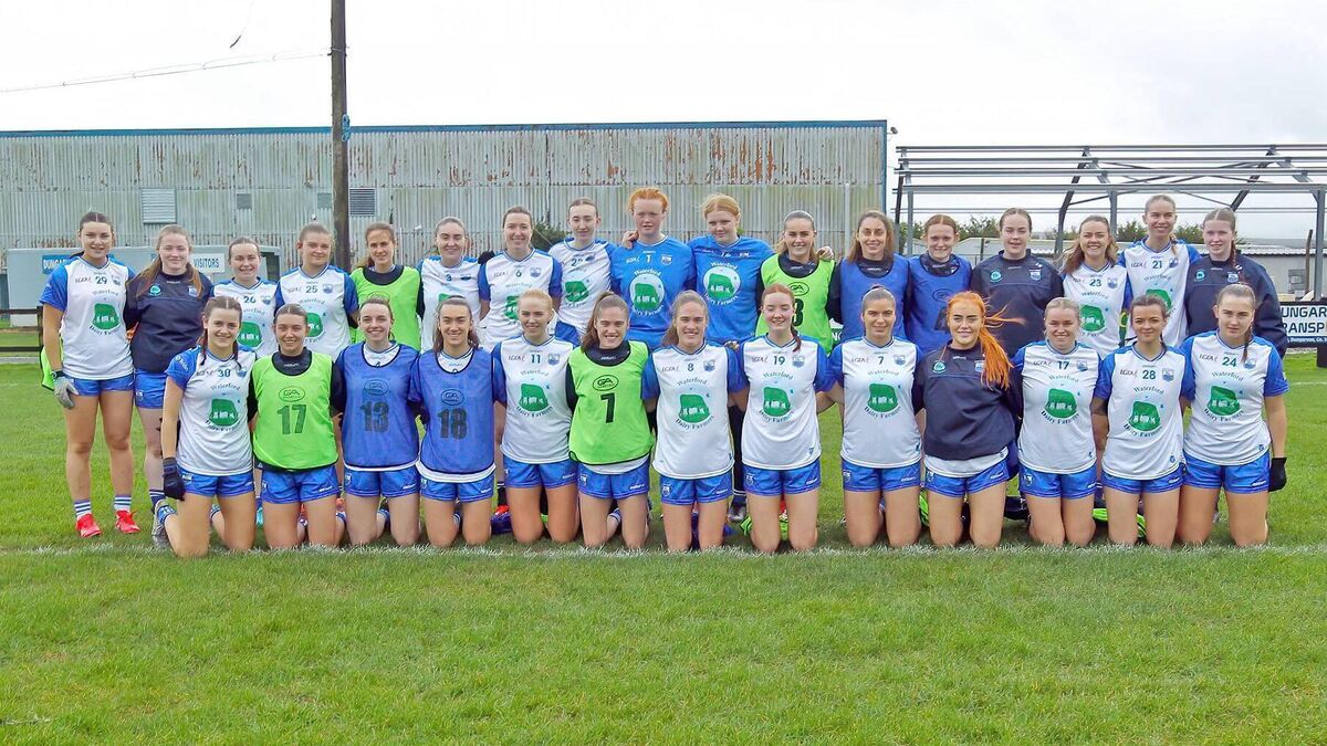 Waterford miss out on final spot despite snatching late draw