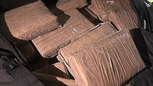 Two men arrested after €2.75m worth of drugs seized in Co Dublin