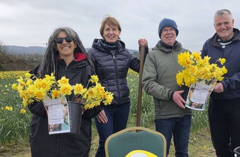 Waterford daffodil picking event raises over €3,000 for Irish Cancer Society
