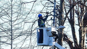 Man said he 'smacked' granite stone off grandfather's head before using cement block to 'finish it off'