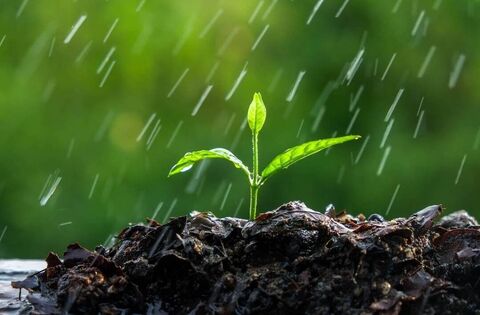 Green Fingers: The climate they are a changin'