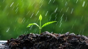 Green Fingers: The climate they are a changin'