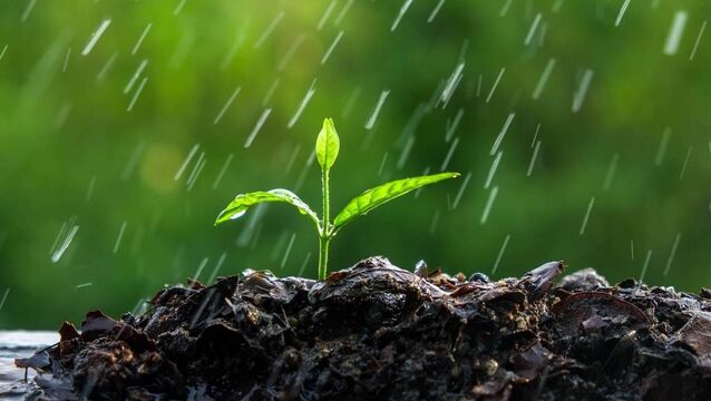 Green Fingers: The climate they are a changin'