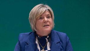 Man (50s) dies after St Patrick's Day assault in Limerick