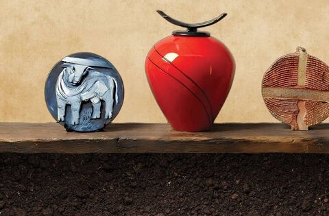 Waterford ceramic artists shine at exhibition