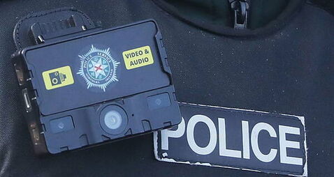 Appeal after man and dog attacked in Bangor