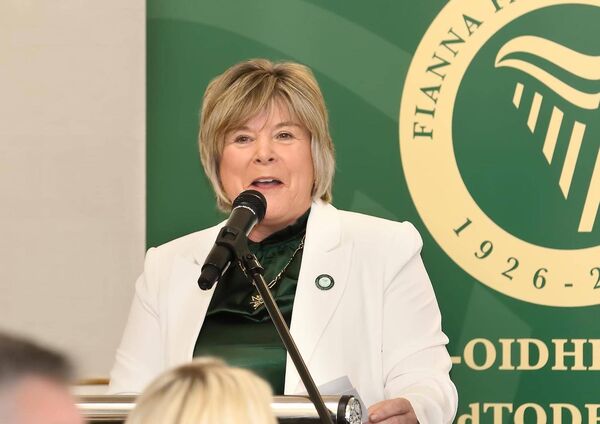 Government Chief Whip, Minister for Mental Health &amp; Waterford T.D Minister Butler speaking at the event