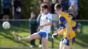 <p>Waterford's Daithí Colleran manages to get a shot away under pressure from the Clare defence.</p> <p>Waterford's Daithí Colleran manages to get a shot away under pressure from the Clare defence.</p>