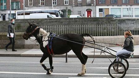 Large protest planned over use of sulkies on national roads following the death of a horse
