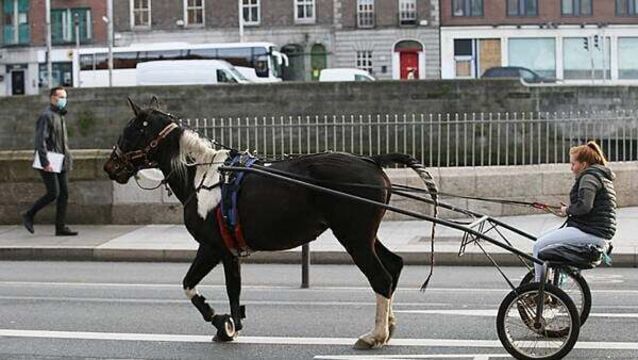 Large protest planned over use of sulkies on national roads following the death of a horse