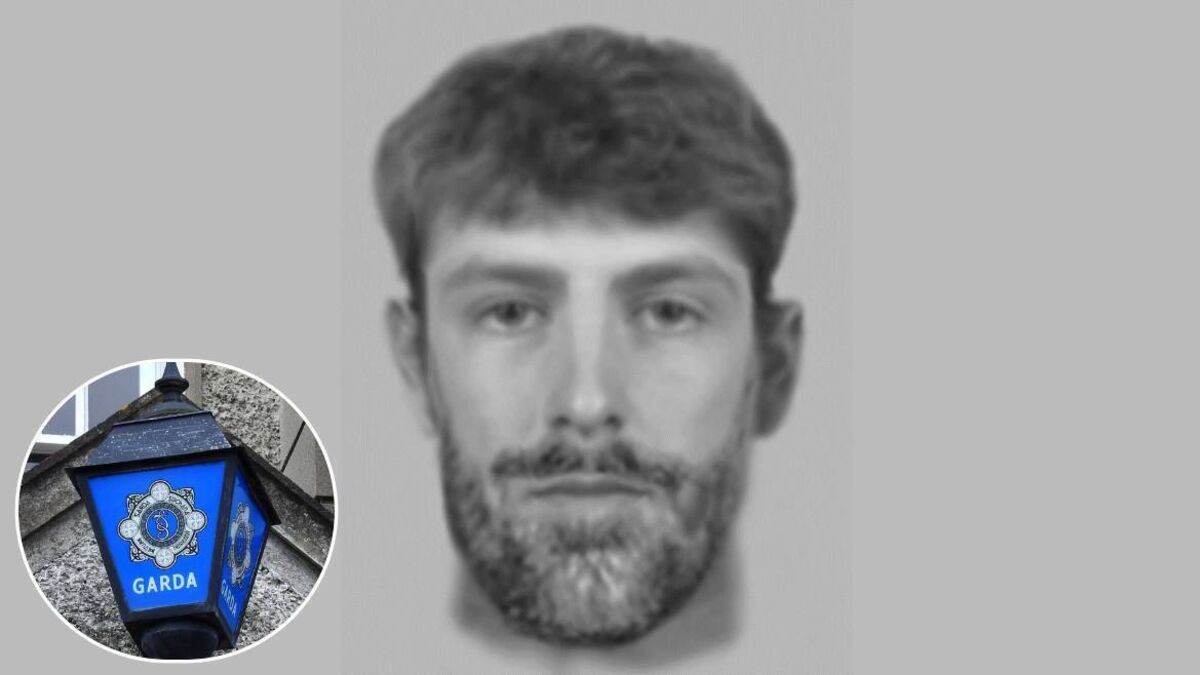 Gardaí in Waterford search for man who entered family home on Christmas eve