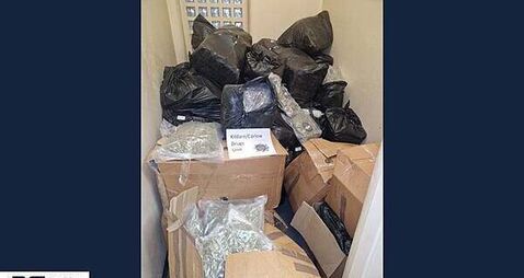 Three men and one woman arrested after cannabis worth €7m seized in Kildare