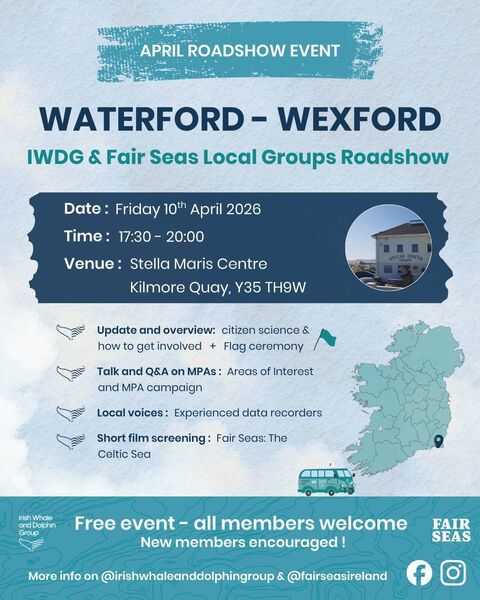 The Irish Whale and Dolphin Group is looking to connect with coastal communities in the South East