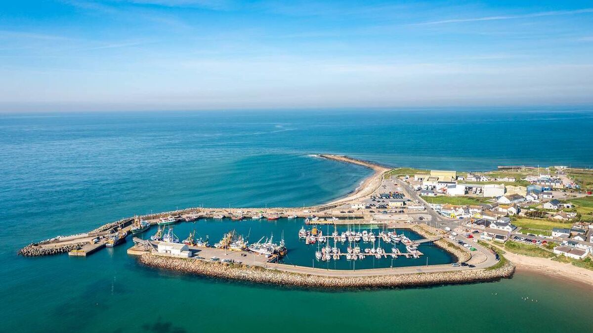 Check out this marine life roadshow set to visit South East
