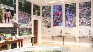 Herman Dool exhibition opens at Mount Congreve in Waterford