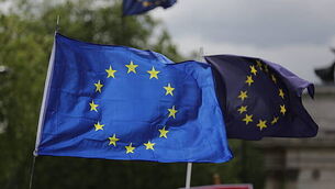 Investigation launched after several dead sheep wash up on popular Donegal beach