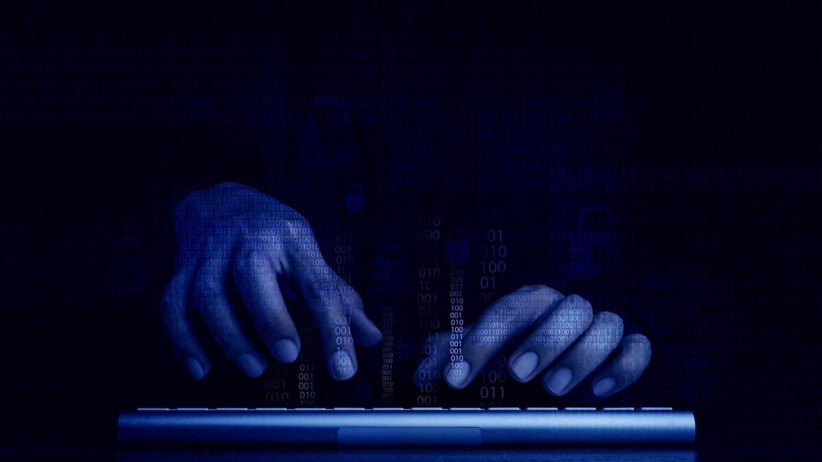 Learn to spot scams and online fraud from the gardaí at Waterford library