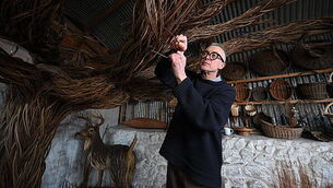 Man who raped woman with bottle jailed for eight years