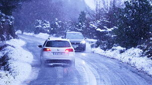 Memory boxes project for Cork dementia patients ‘could be extended nationwide’