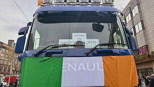 Horses on land holding up work on €55m Tipperary housing project, court told