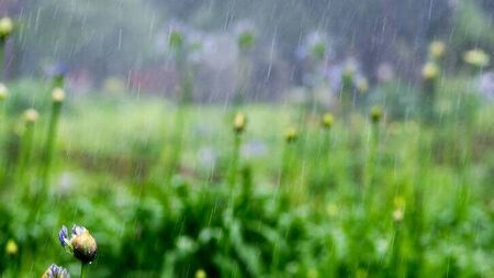 April showers might dampen our enthusiasm