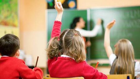 Survey shows Waterford narrowly in favour of denominational education; Strong supporters for same-sex and English-language schools