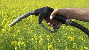 <p>Macra wants fuel prices to be capped at pre-crisis levels. Stock image</p>