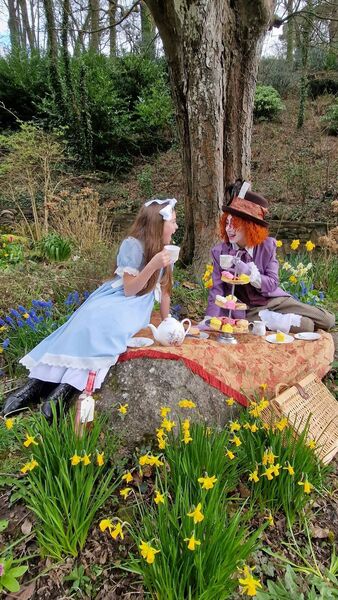'Alice in Wonderland' is coming to Stradbally