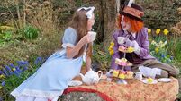 Local Notes: Alice in Wonderland is coming to Stradbally 