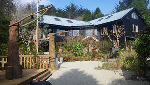 Restaurants hosting 'bottomless brunches’ in breach of alcohol legislation, study finds