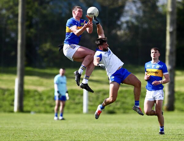Tipperary's Joe Higgins and Waterford's Michael O'Brien go high to contest this ball.