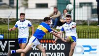Tipp have too much for spirited Waterford display