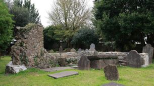 <p>The Knights Templar Graveyard in Kilbarry. Picture by Joe Evans</p>