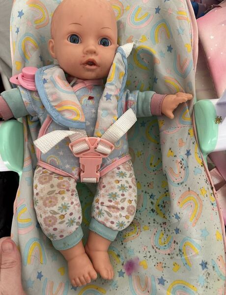 A toy doll infested with mould. Photo: Rebecca Byrne