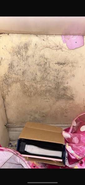 Mould in the apartment. Photo: Rebecca Byrne