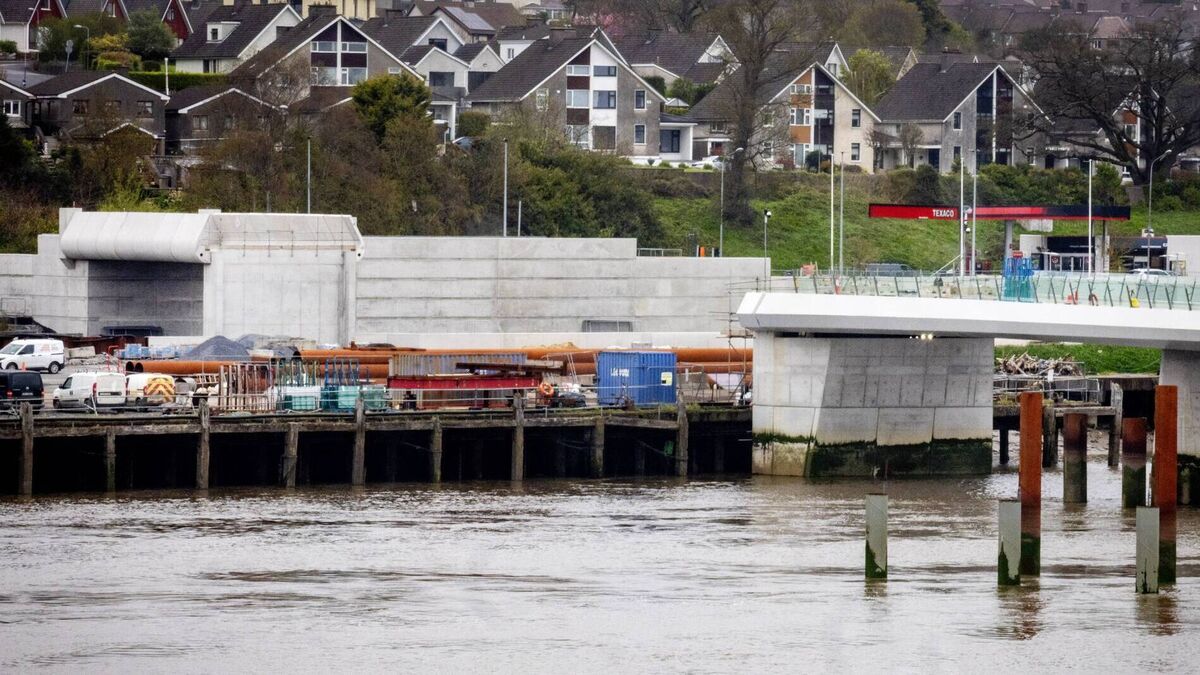 Where is the “missing link” of the sustainable transport bridge?