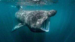 How Keilidh Cashell went from TikTok superstardom to setting up her own beauty brand