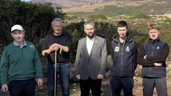 Waterford estate confirms talks ongoing with sheep farmers caught in rent dispute against Duke of Devonshire