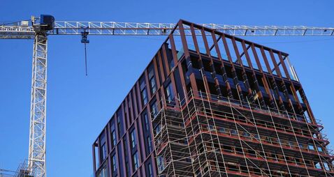 Phoenix: No one shouted stop?