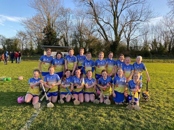 Members of the Portlaw U12 camogie squad.