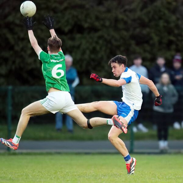 Waterford's Aidan McMaugh lifts his shot up over the challenge from Limerick's Eoghane Murnane.