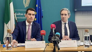 Wexford man convicted of cruelty to a pony an ordered to pay fines of €8k