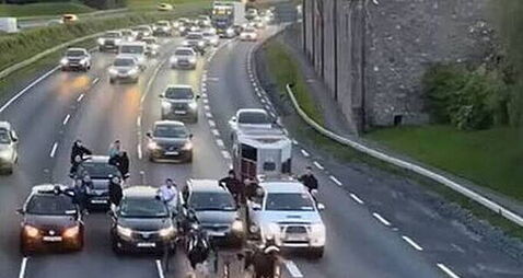 Sulky racing on 'busy motorway' sparks calls for stronger animal welfare protections