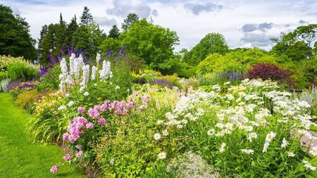 Green Fingers: The effect of flower power