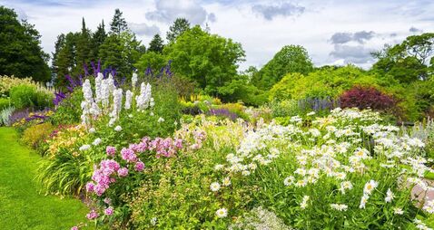 Green Fingers: The effect of flower power